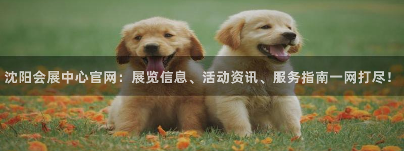 果博官网客服电话号码是多少：沈阳会展中心官网：展览信息、活动资讯、服务指南一网打尽！