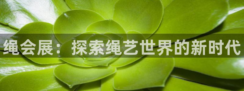 果博平台真实吗安全吗可靠吗：绳会展：探索绳艺世界的新时代