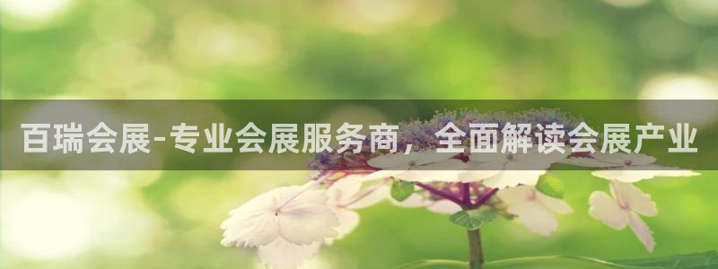 果博代理网：百瑞会展-专业会展服务商，全