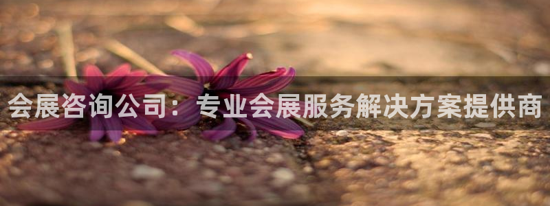 果博平台真实吗：会展咨询公司：专业会展服务解决方案提供商