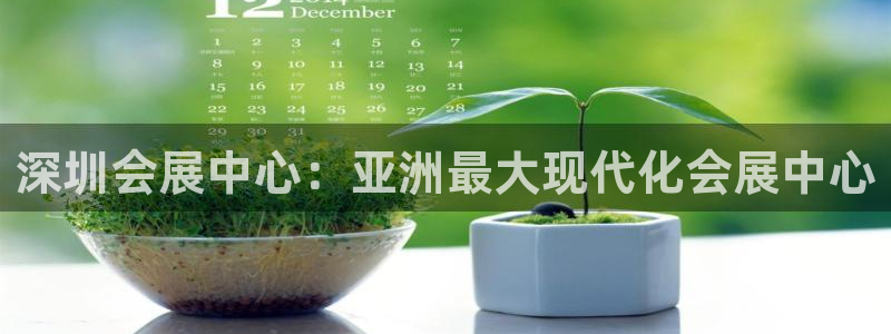 苹果电脑可以下载博易大师吗：深圳会展中心：亚洲最大现代化会展中心
