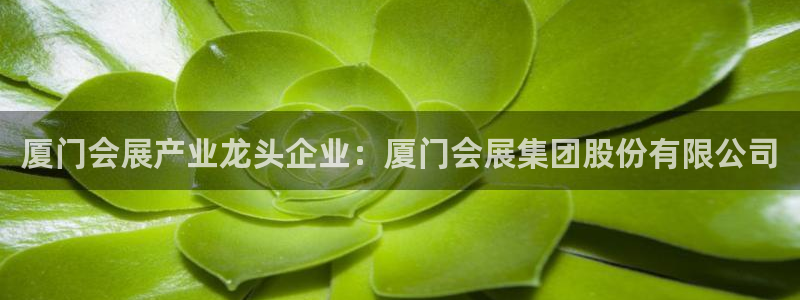 下载果博app：厦门会展产业龙头企业：厦