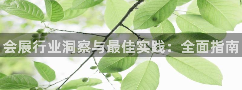 果博公司客服电话：会展行业洞察与最佳实践：全面指南