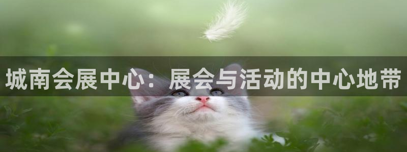 果博公司客服微信怎么加：城南会展中心：展会与活动的中心地带