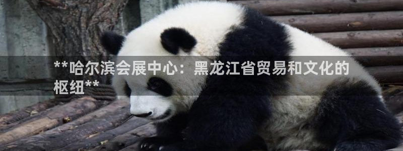 果博注册平台怎么注册账号：**哈尔滨会展中心：黑龙江省贸易和文化的
枢纽**