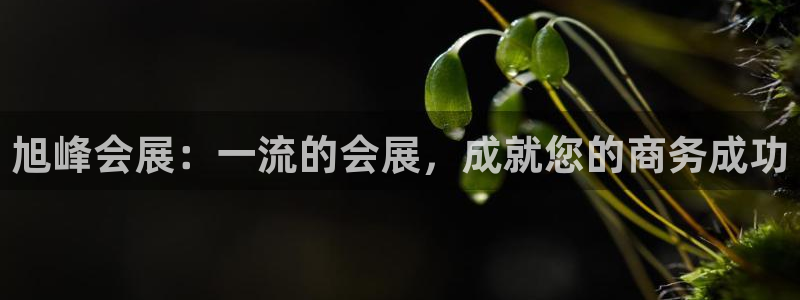 手机怎样下载果博：旭峰会展：一流的会展，成就您的商务成功