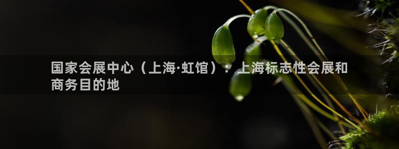 果博公司客服电话：国家会展中心（上海·虹