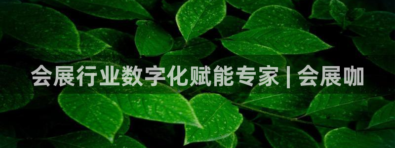 果博官网客服电话号码：会展行业数字化赋能专家 | 会展咖