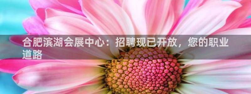 果博注册平台怎么注册不了：合肥滨湖会展中
