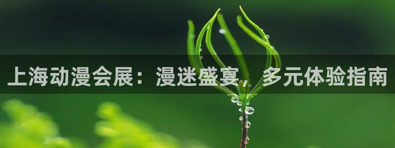果博注册：上海动漫会展：漫迷盛宴，多元体验指南