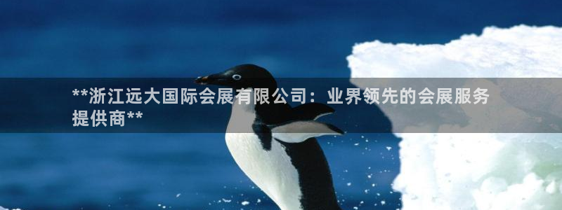 果博网站二维码：**浙江远大国际会展有限公司：业界领先的会展服务
提供商**