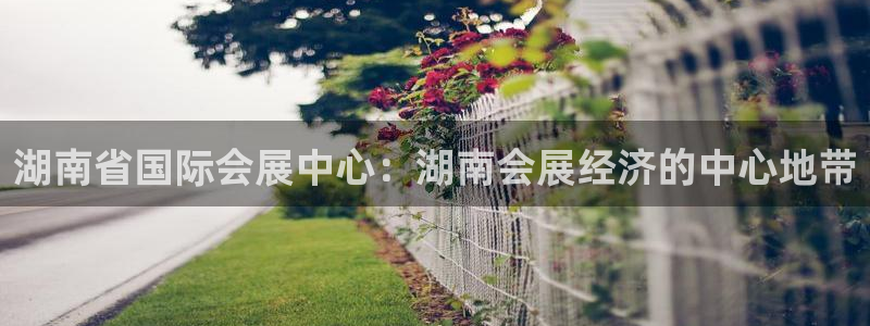 果博公司网站：湖南省国际会展中心：湖南会展经济的中心地带