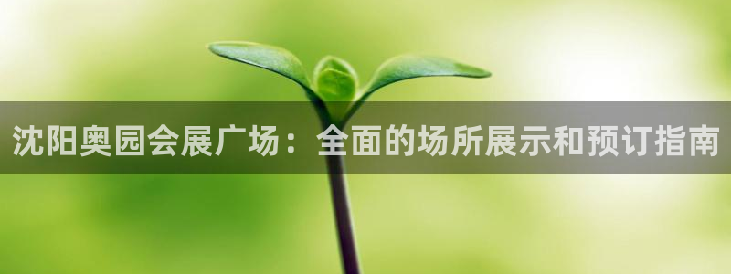 果博注册平台怎么注册的：沈阳奥园会展广场