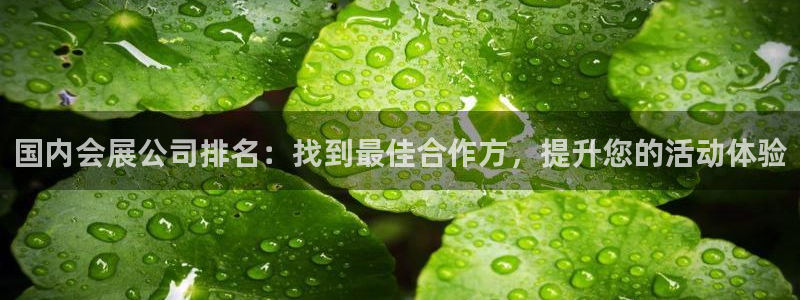 果博代理网：国内会展公司排名：找到最佳合作方，提升您的活动体验
