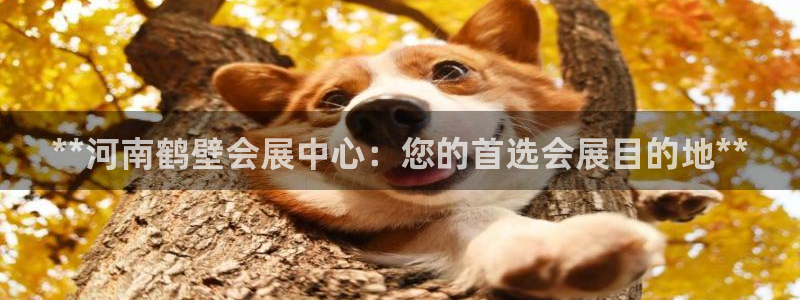 果博公司开户：**河南鹤壁会展中心：您的首选会展目的地**