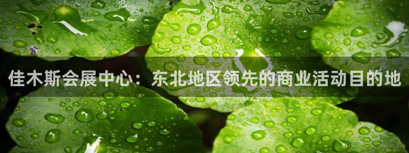 果博官网客服电话号码是多少