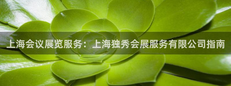 果博手机版下载