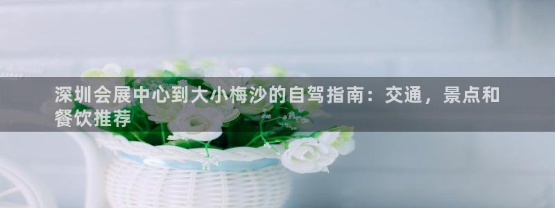 果博旗舰厅：深圳会展中心到大小梅沙的自驾