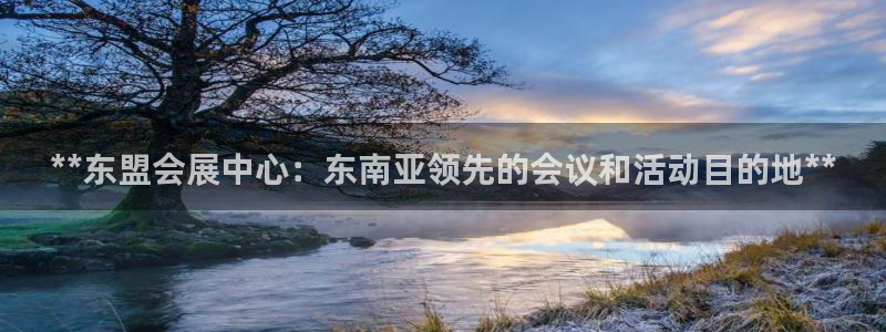 果博官网在银博：**东盟会展中心：东南亚