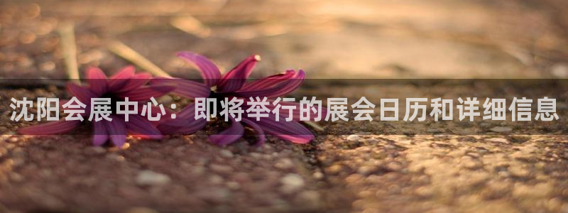 果博注册客服电话号码查询：沈阳会展中心：即将举行的展会日历和详细信息
