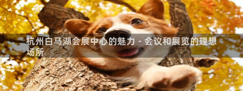果博管理网：杭州白马湖会展中心的魅力 - 会议和展览的理想
场所