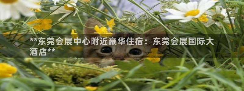 果博公司怎么注册会员：**东莞会展中心附近豪华住宿：东莞会展国际大
酒店**