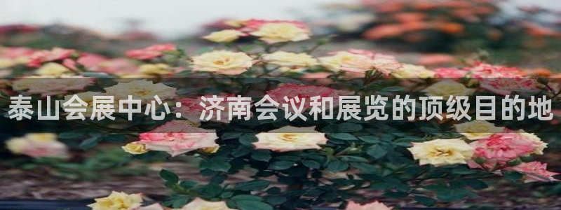 果博注册客服电话号码查询：泰山会展中心：济南会议和展览的顶级目的地
