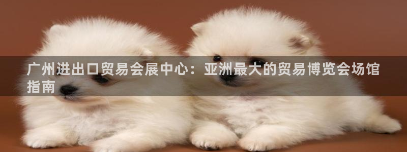 果博注册平台怎么注册账号：广州进出口贸易会展中心：亚洲最大的贸易博览会场馆
指南