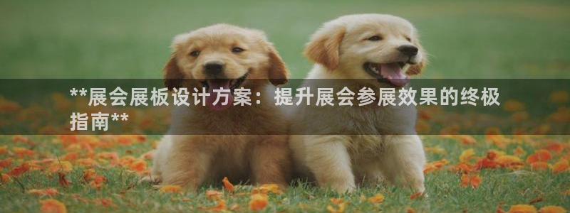 果博官网客服：**展会展板设计方案：提升展会参展效果的终极
指南**
