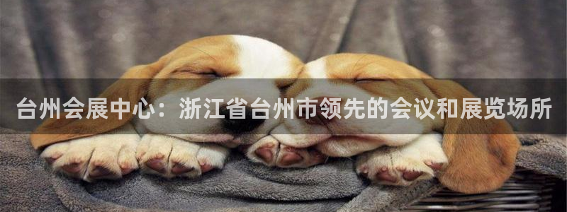 果博平台怎么下载?：台州会展中心：浙江省台州市领先的会议和展览场所