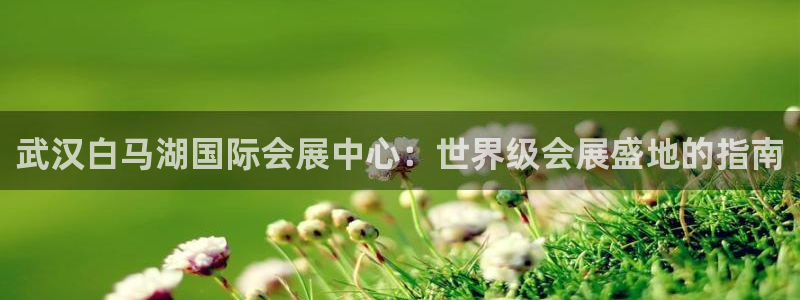 果博公司会员开户：武汉白马湖国际会展中心：世界级会展盛地的指南