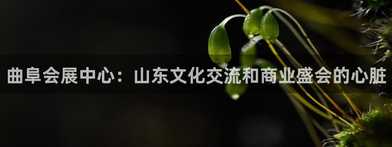 果博集团