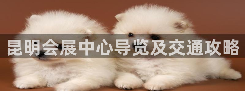 果博注册会员多少钱：昆明会展中心导览及交通攻略