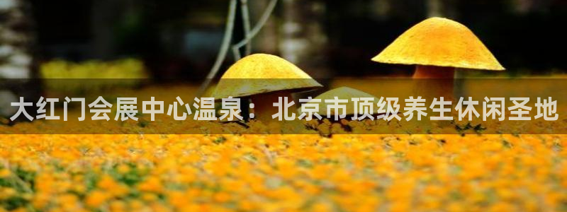 果博电话
