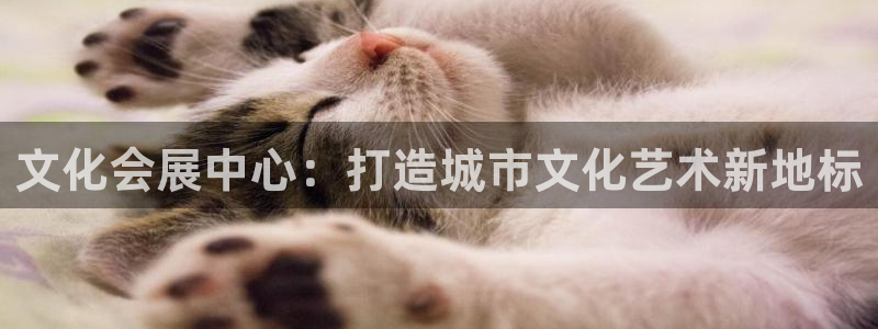 果博服务电话：文化会展中心：打造城市文化艺术新地标