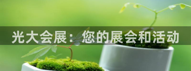 果博公司网站：光大会展：您的展会和活动