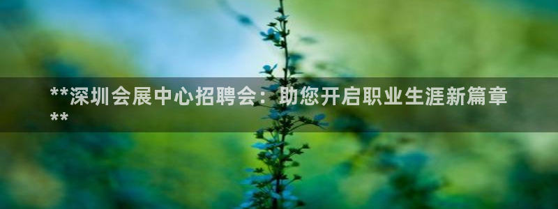 下载果博app：**深圳会展中心招聘会：助您开启职业生涯新篇章
**