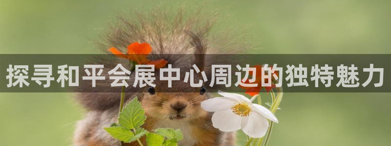 果博公司游戏网址：探寻和平会展中心周边的独特魅力