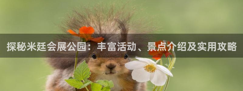 果搏代理：探秘米廷会展公园：丰富活动、景点介绍及实用攻略