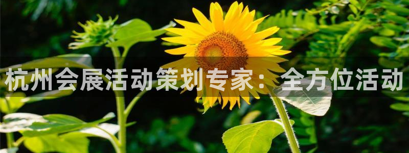 果博平台苹果电脑怎么下载：杭州会展活动策划专家：全方位活动