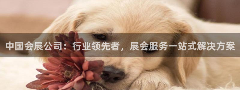 果博注册平台怎么注册账号：中国会展公司：行业领先者，展会服务一站式解决方案