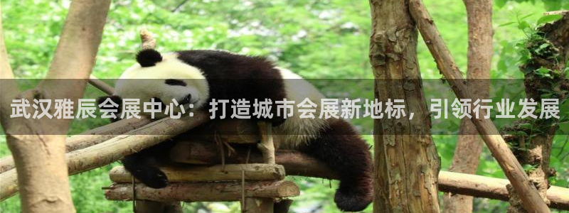 果博手机版官方下载