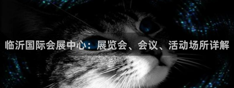 果博官网客服：临沂国际会展中心：展览会、会议、活动场所详解