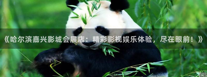 果博注册客服电话是多少：《哈尔滨嘉兴影城会展店：精彩影视娱乐体验，尽在眼前！》