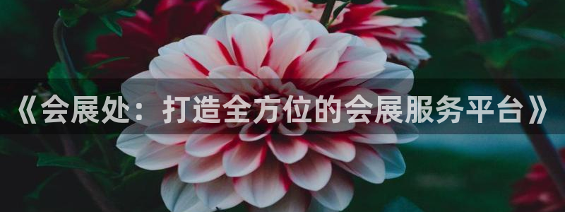 果博注册客服电话是多少号：《会展处：打造全方位的会展服务平台》