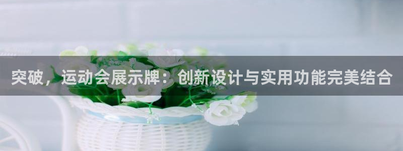 果博是怎么登录的：突破，运动会展示牌：创新设计与实用功能完美结合