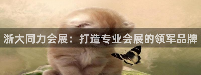果博注册：浙大同力会展：打造专业会展的领
