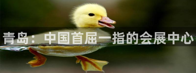 果博网站二维码