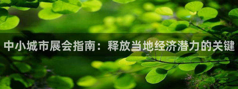 果博官网客服电话号码查询：中小城市展会指南：释放当地经济潜力的关键