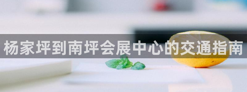 果博手机下载网址：杨家坪到南坪会展中心的